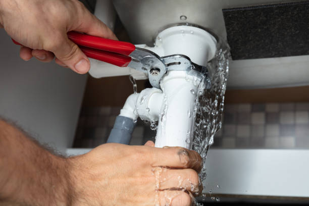 Best Flood damage cleanup  in Berkley, CO