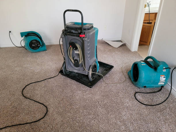 Best Water damage cleanup near me  in Berkley, CO