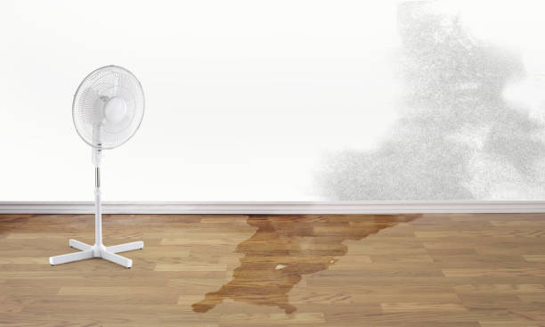 Professional Water damage restoration in Berkley, CO