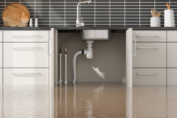 Best Fire Damage Restoration  in Berkley, CO