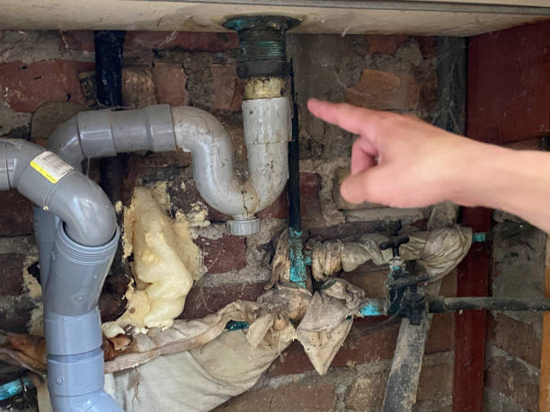 Best Flood restoration services  in Berkley, CO